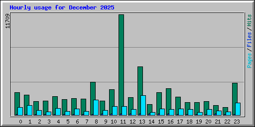 Hourly usage for December 2025