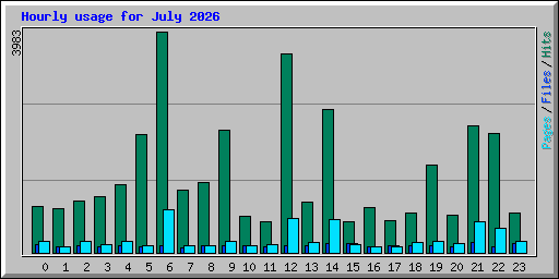 Hourly usage for July 2026